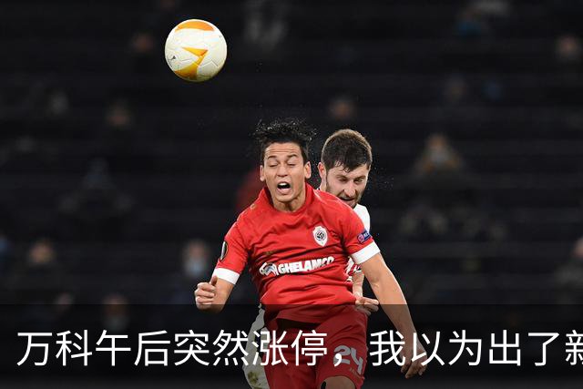 万科午后突然涨停，我以为出了新利好，盘后发现消息早就公开了