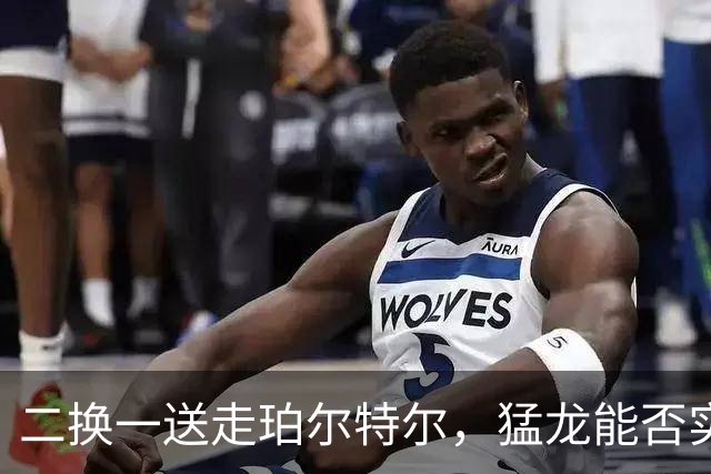 二换一送走珀尔特尔，猛龙能否实现五号位的升级