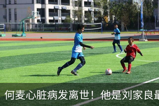 何麦心脏病发离世！他是刘家良最忠心徒弟，黄飞鸿第五代传人，女儿曾是TVB艺员