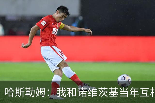 哈斯勒姆：我和诺维茨基当年互相讨厌 现在却成了很好的朋友