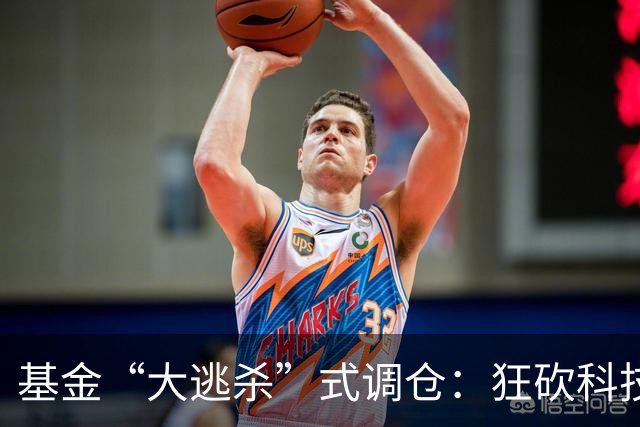 基金“大逃杀”式调仓：狂砍科技仓位！