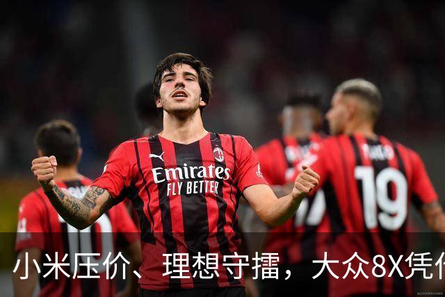 小米压价、理想守擂，大众8X凭什么杀进25万级？