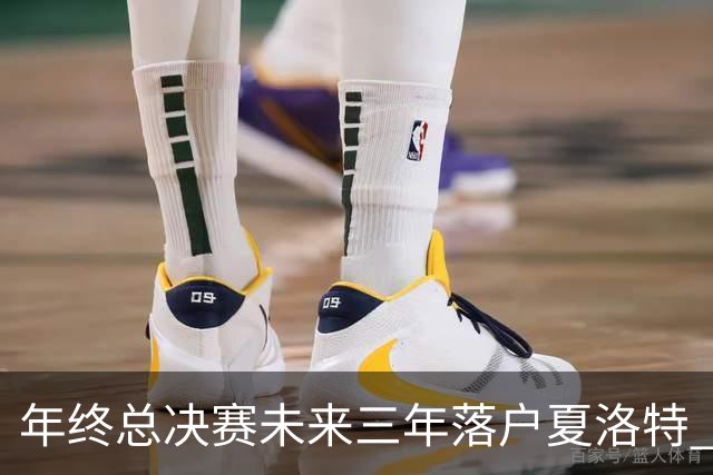 年终总决赛未来三年落户夏洛特 WTA还能从哪里搞钱？