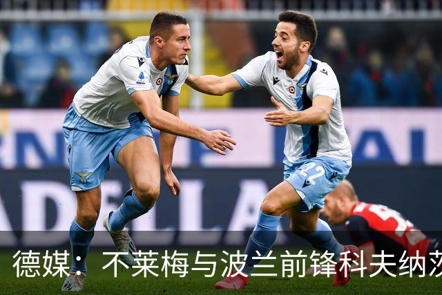 德媒：不莱梅与波兰前锋科夫纳茨基解约