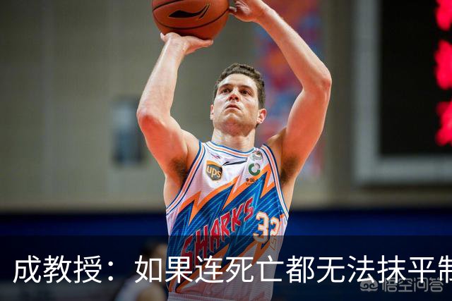 成教授：如果连死亡都无法抹平制度二元结构，我们该反思什么？