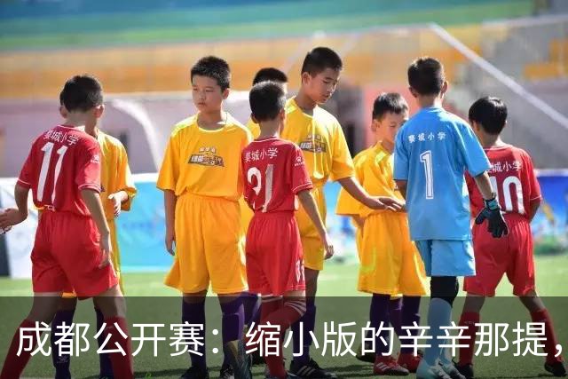 成都公开赛：缩小版的辛辛那提，藏在双流的网球乌托邦