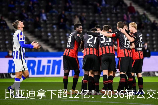 比亚迪拿下超12亿！2036辆公交大单落地 中标人还有谁
