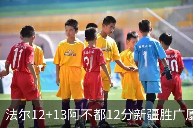 法尔12+13阿不都12分新疆胜广厦 朱俊龙18+8