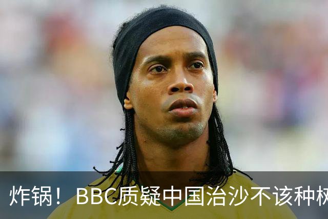 炸锅！BBC质疑中国治沙不该种树，联合国：世界防治荒漠化看中国