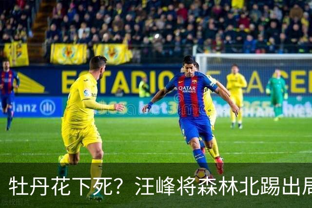 牡丹花下死？汪峰将森林北踢出局，这次终于彻底印证葛荟婕的评价