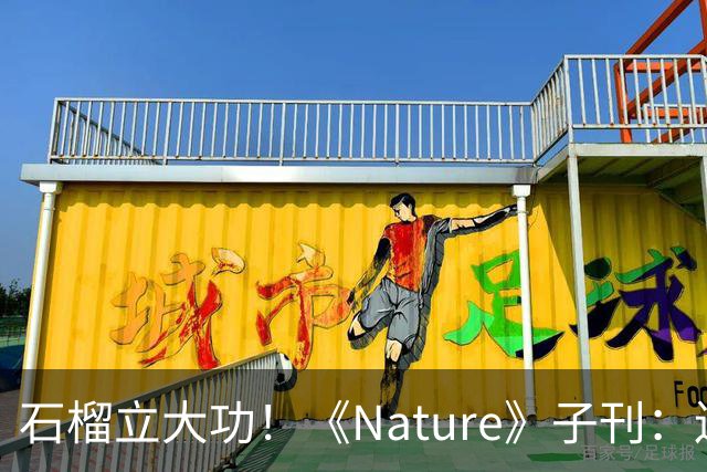石榴立大功！《Nature》子刊：连续补充4周，身体机能或年轻10岁