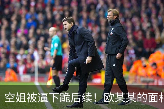 空姐被逼下跪后续！欧某某的面相、T恤被网友吐槽：真是求锤得锤自作自受