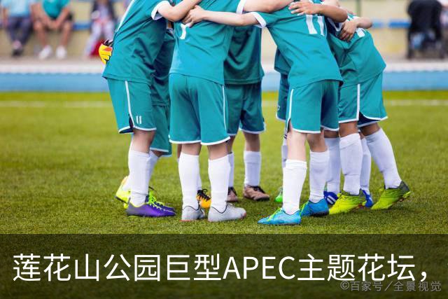 莲花山公园巨型APEC主题花坛，绿雕长达21米