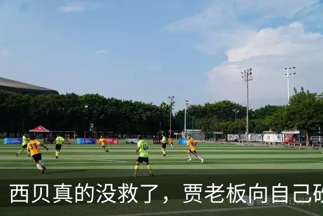西贝真的没救了，贾老板向自己砍下了最后一刀