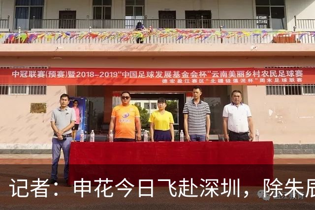 记者：申花今日飞赴深圳，除朱辰杰盖伊等伤员外几乎全员出征