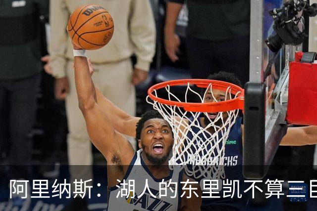 阿里纳斯：湖人的东里凯不算三巨头 三个全明星才叫三巨头