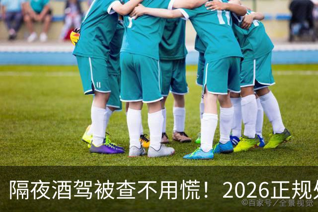 隔夜酒驾被查不用慌！2026正规处理方法：公职人员依法减损保工作