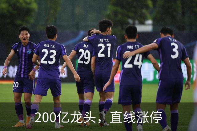 200亿龙头，直线涨停