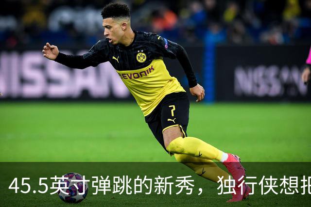 45.5英寸弹跳的新秀，独行侠想把他养成下一个琼斯