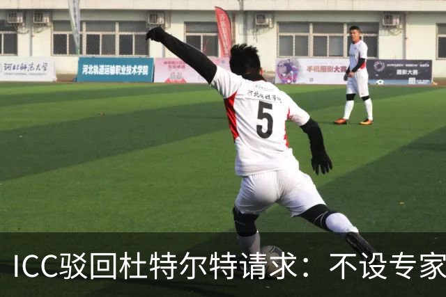 ICC驳回杜特尔特请求：不设专家核实环节，审判11月30日如期开始