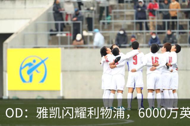 OD：雅凯闪耀利物浦，6000万英镑押注初见成效